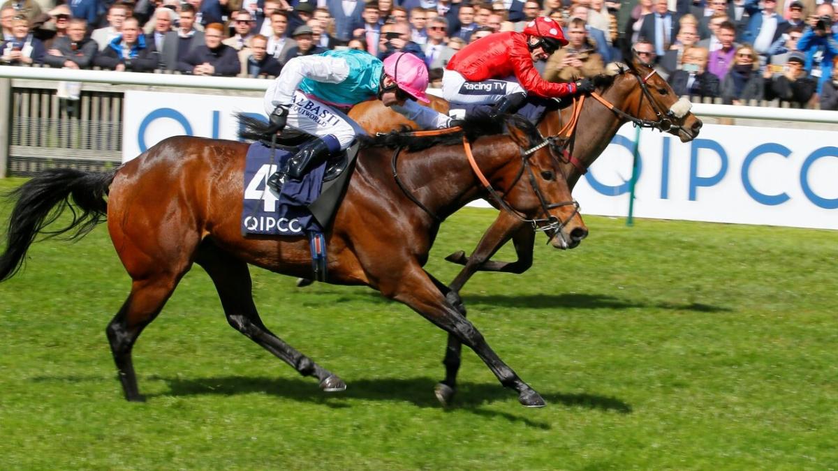 Charlie Hills' Equilateral 